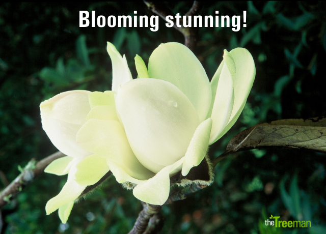 blog img