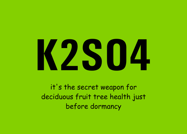 blog img
